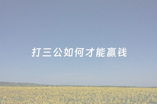 打三公如何才能赢钱（打三公有什么办法赢钱）