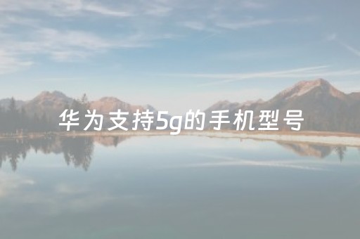 华为支持5g的手机型号（华为支持5g的手机型号是多少）