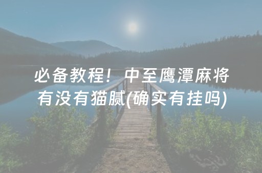 必备教程！中至鹰潭麻将有没有猫腻(确实有挂吗)