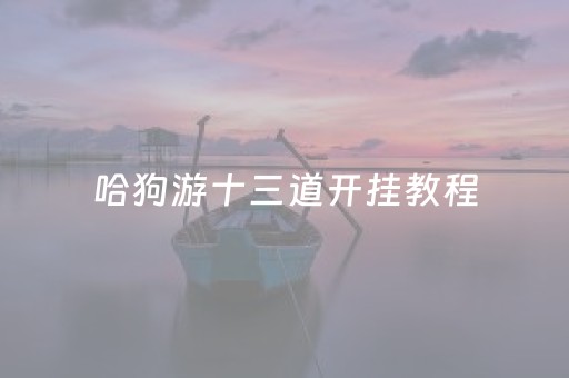 哈狗游十三道开挂教程（哈狗游戏十三道有挂吗）