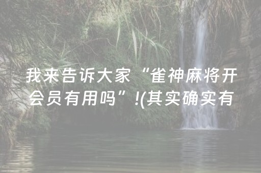 我来告诉大家“雀神麻将开会员有用吗”!(其实确实有挂)-知乎