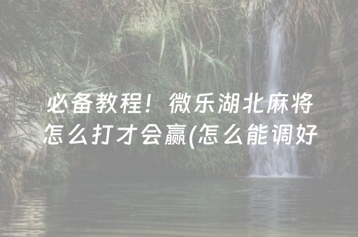 必备教程！微乐湖北麻将怎么打才会赢(怎么能调好牌)