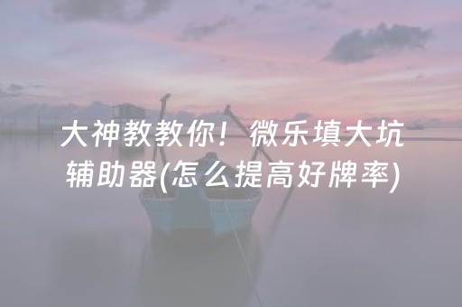 大神教教你！微乐填大坑辅助器(怎么提高好牌率)