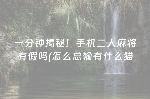 一分钟揭秘！手机二人麻将有假吗(怎么总输有什么猫腻)