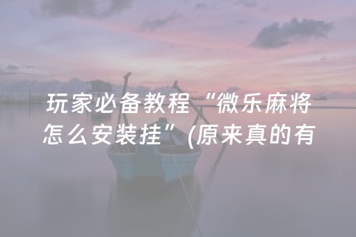 玩家必备教程“微乐麻将怎么安装挂”(原来真的有挂)-知乎