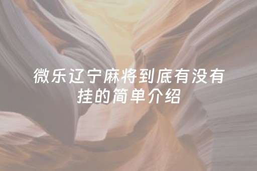 微乐辽宁麻将到底有没有挂的简单介绍