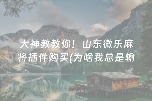 大神教教你！山东微乐麻将插件购买(为啥我总是输)