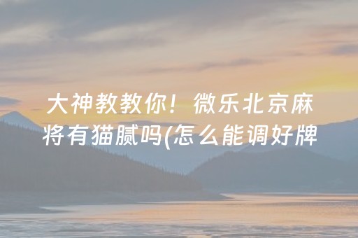 大神教教你！微乐北京麻将有猫腻吗(怎么能调好牌)