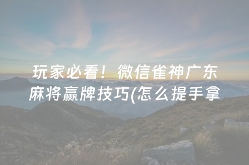 玩家必看！微信雀神广东麻将赢牌技巧(怎么提手拿好牌)