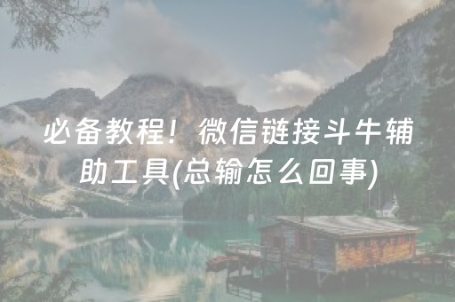 必备教程！微信链接斗牛辅助工具(总输怎么回事)