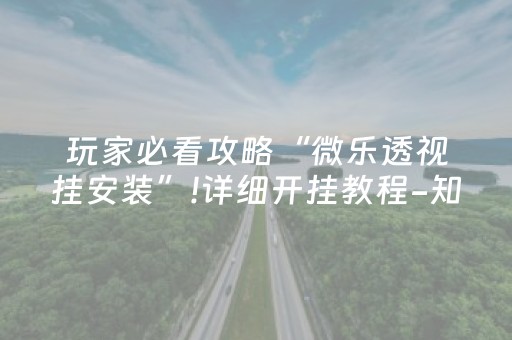 玩家必看攻略“微乐透视挂安装”!详细开挂教程-知乎