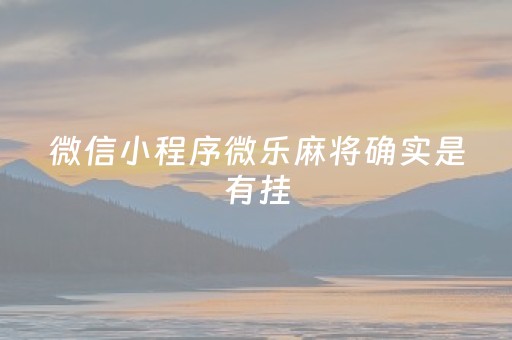 微信小程序微乐麻将确实是有挂（微信小程序微乐麻将开挂安装免费）