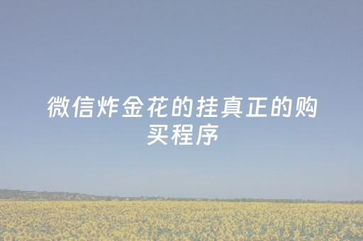 微信炸金花的挂真正的购买程序（微信上炸金花）