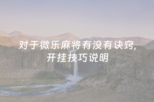 对于微乐麻将有没有诀窍,开挂技巧说明（终于知道微乐麻将开挂教程）