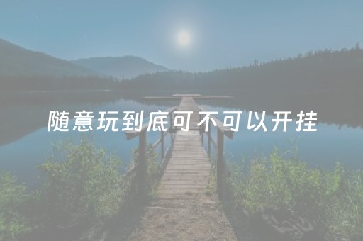 随意玩到底可不可以开挂（可以开挂吗）