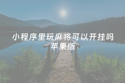 小程序里玩麻将可以开挂吗苹果版（微信小程序游戏麻将可以开挂吗）