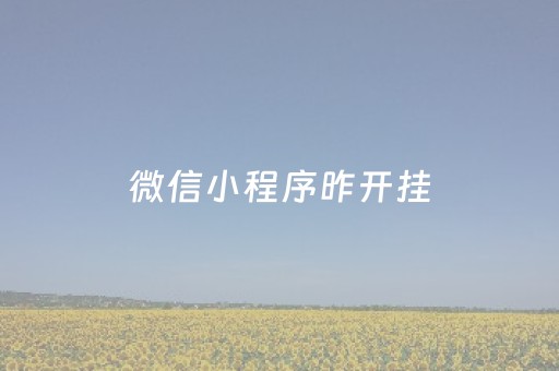 微信小程序昨开挂（微信小程序开挂神器）