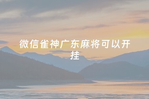 微信雀神广东麻将可以开挂（微信雀神广东麻将开挂神器）