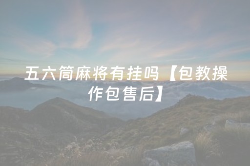 五六筒麻将有挂吗【包教操作包售后】（56筒麻将玩法）