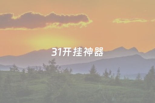 31开挂神器（正版开挂神器）