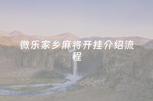 微乐家乡麻将开挂介绍流程（微乐家乡麻将怎样开挂）