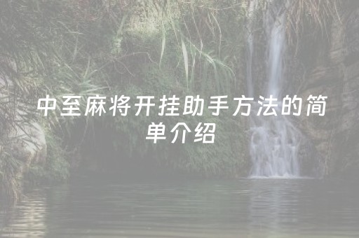 中至麻将开挂助手方法的简单介绍