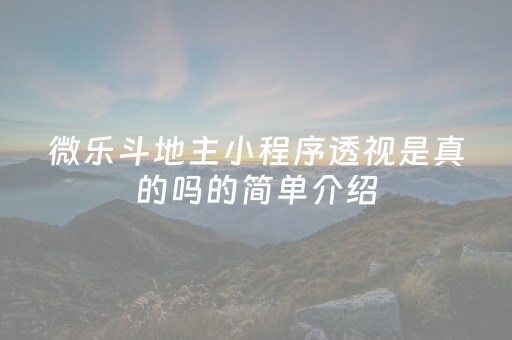 微乐斗地主小程序透视是真的吗的简单介绍（微信上小程序微乐斗地主透视）