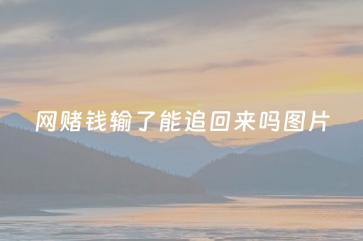 网赌钱输了能追回来吗图片（网赌输钱了可以把钱追回来吗）