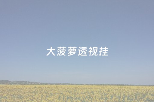 大菠萝透视挂（大菠萝破解版入口）