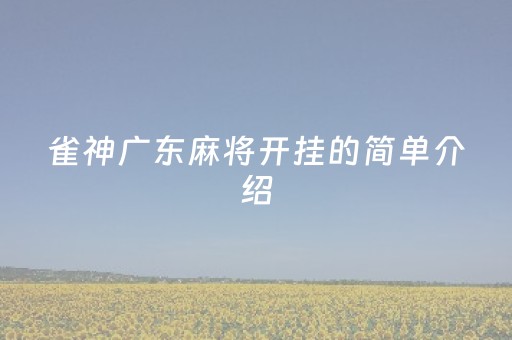 雀神广东麻将开挂的简单介绍