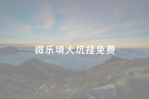 微乐填大坑挂免费（微乐游戏填大坑挂挂好使吗）