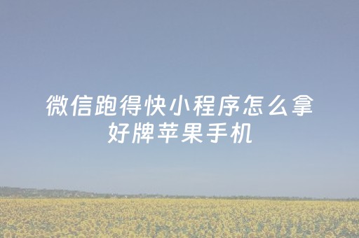 微信跑得快小程序怎么拿好牌苹果手机（跑得快微信小游戏）