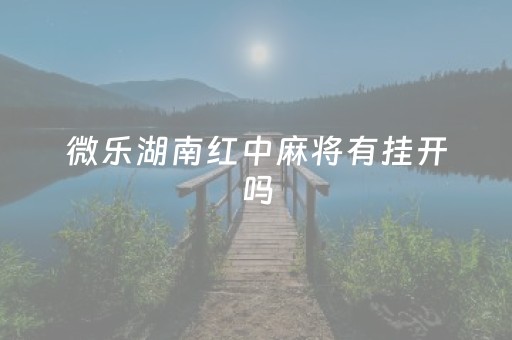 微乐湖南红中麻将有挂开吗（微乐湖南麻将小程序）