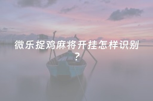 微乐捉鸡麻将开挂怎样识别?（微乐捉鸡麻将开挂怎样识别真假）