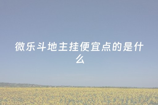 微乐斗地主挂便宜点的是什么（微乐斗地主挂便宜点的是什么名字）