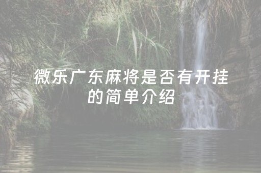 微乐广东麻将是否有开挂的简单介绍