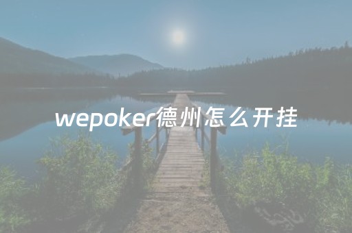 wepoker德州怎么开挂（wepokerplus德州）