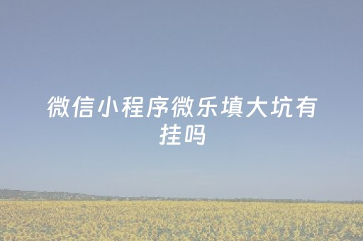 微信小程序微乐填大坑有挂吗（微乐填大坑有什么技巧）