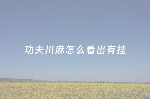 功夫川麻怎么看出有挂（怎么知道功夫川麻有挂）