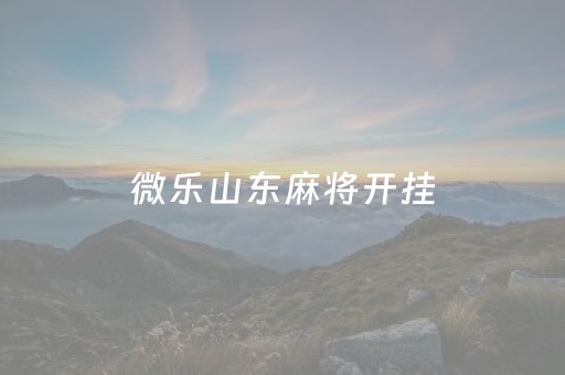 微乐山东麻将开挂（微乐山东麻将开挂有啥用）