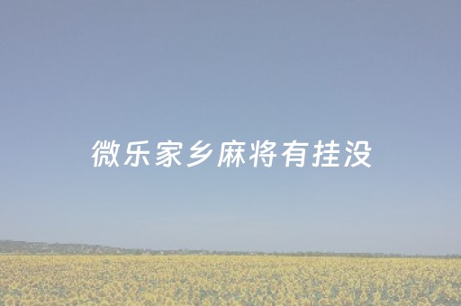 微乐家乡麻将有挂没（微乐家乡麻将挂）