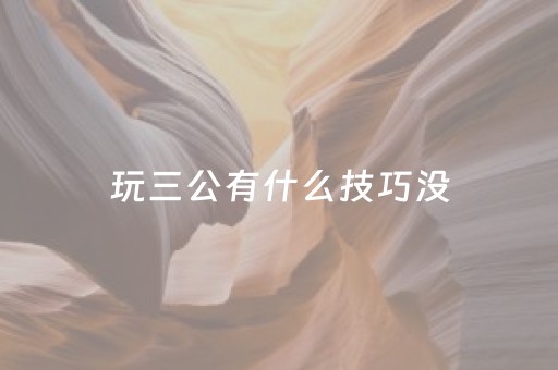 玩三公有什么技巧没（三公游戏技巧）