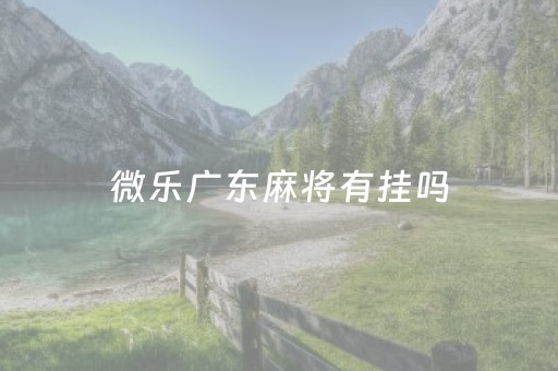 微乐广东麻将有挂吗（微信里微乐麻将有挂吗）