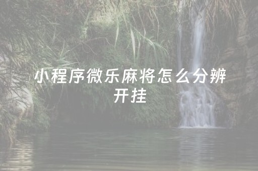 小程序微乐麻将怎么分辨开挂（微乐麻将开挂怎么看出来）