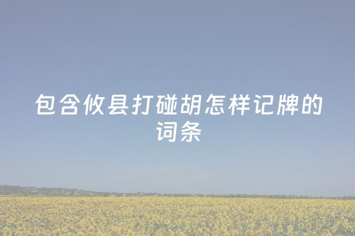 包含攸县打碰胡怎样记牌的词条（攸县碰胡高手技巧）