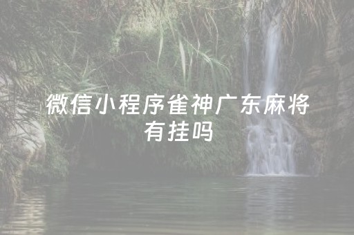 微信小程序雀神广东麻将有挂吗（微信小程序的雀神广东麻将挂）