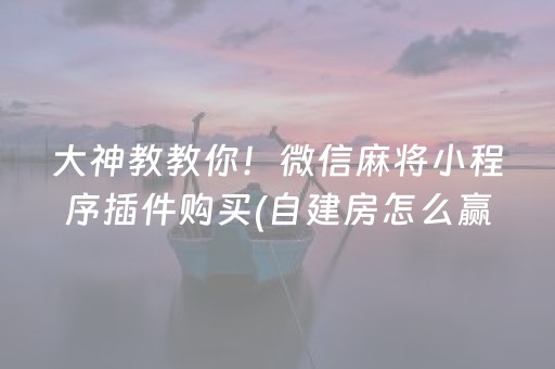 大神教教你！微信麻将小程序插件购买(自建房怎么赢)