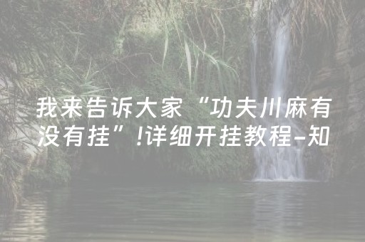 我来告诉大家“功夫川麻有没有挂”!详细开挂教程-知乎