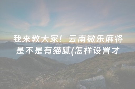 我来教大家！云南微乐麻将是不是有猫腻(怎样设置才容易赢)