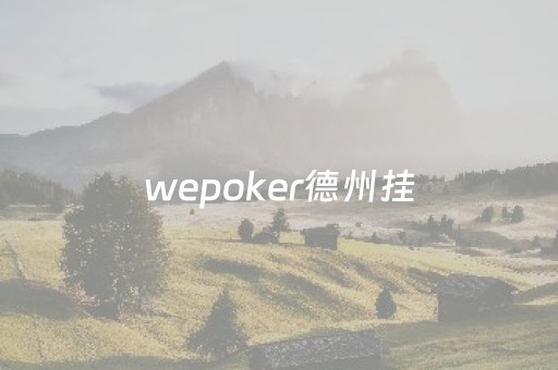 wepoker德州挂（wepoker德州出牌规律）